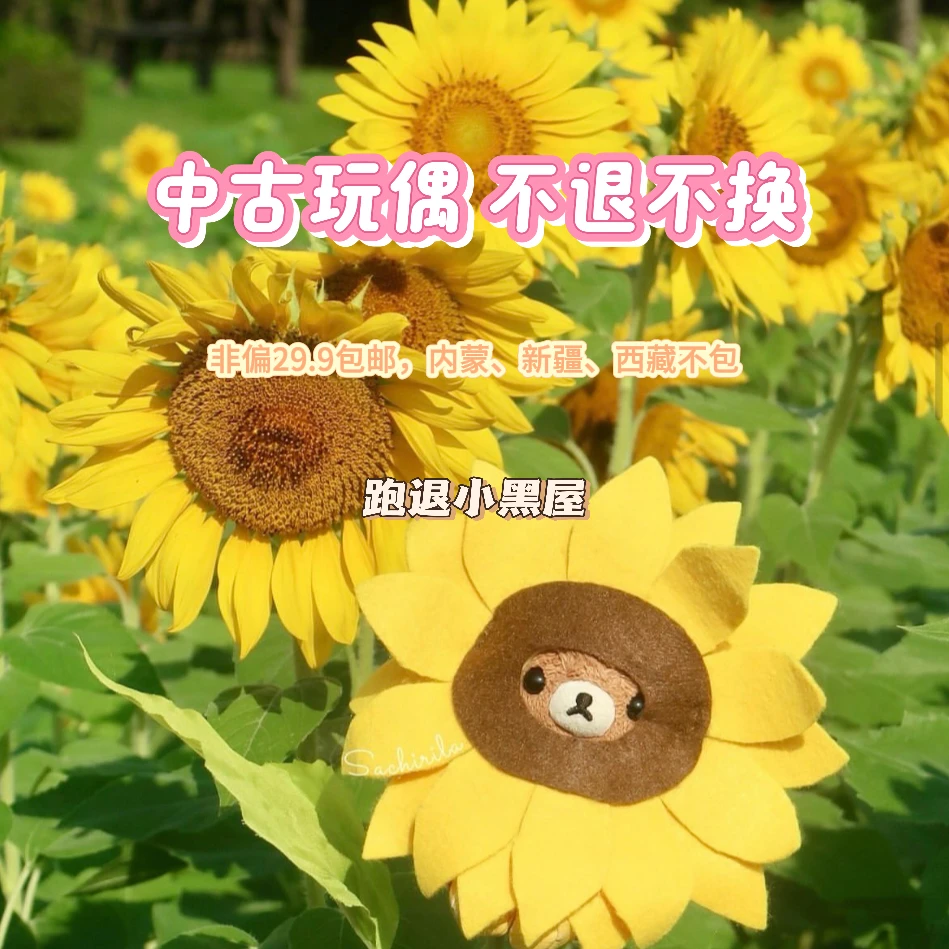 【补邮费专拍】中古玩偶非偏远地区不足