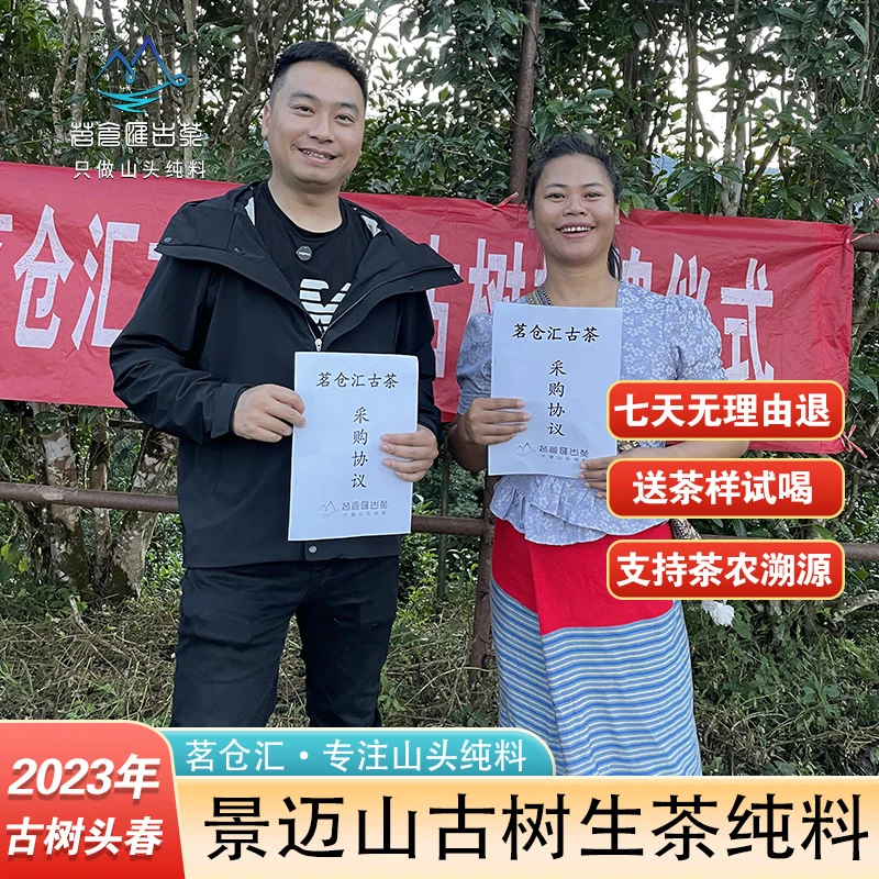 【直播专享】2021年景迈山古树普洱茶500g
