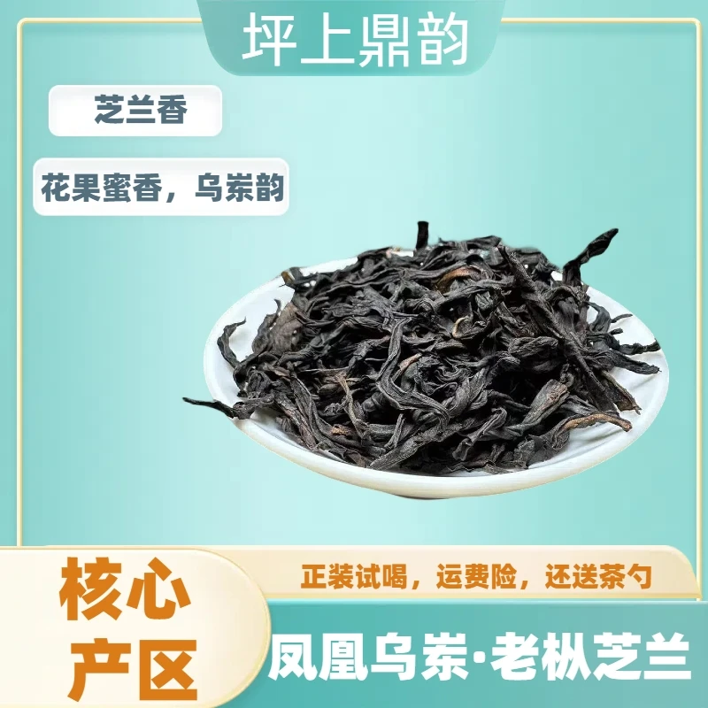凤凰单丛焙茶 大庵蜜兰香 重焙火 浓蜜幽兰 形美、色翠、香郁、味甘