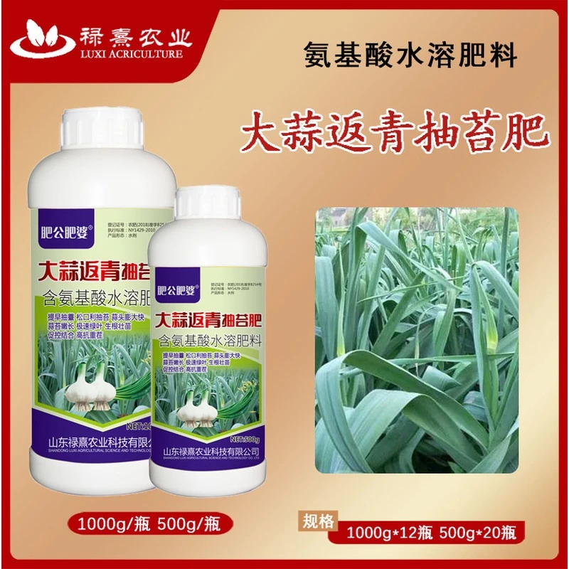 【大蒜返青抽苔肥】出苔齐蒜头大蒜苔粗专用增产早熟叶面肥