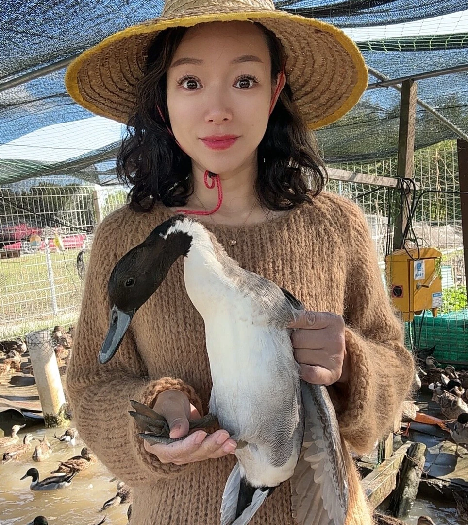 纯生态散养假长颈小飞鸭（2年）鸭肉(顺丰包邮)