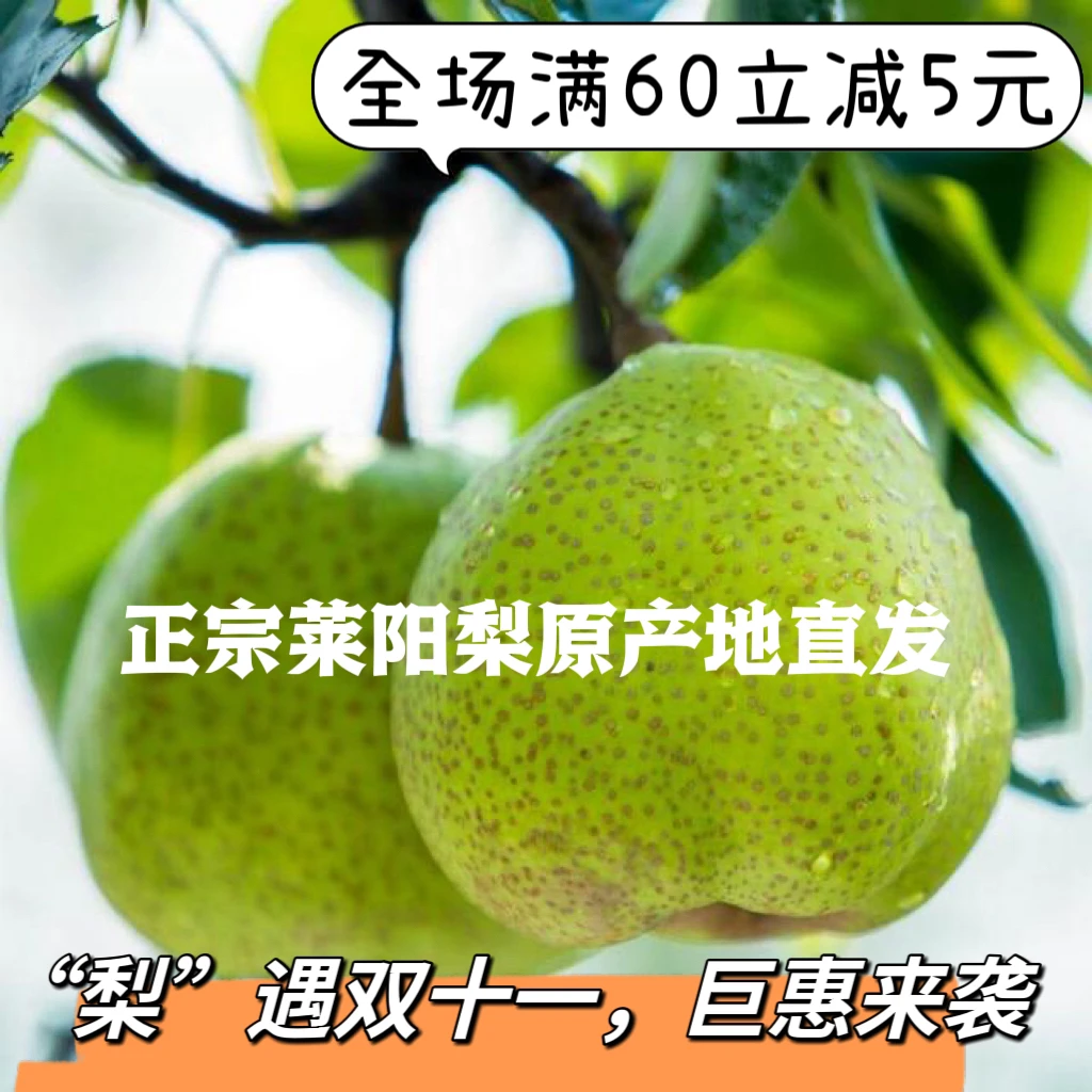 净重10斤装正宗莱阳芦儿港慈梨原产地直发