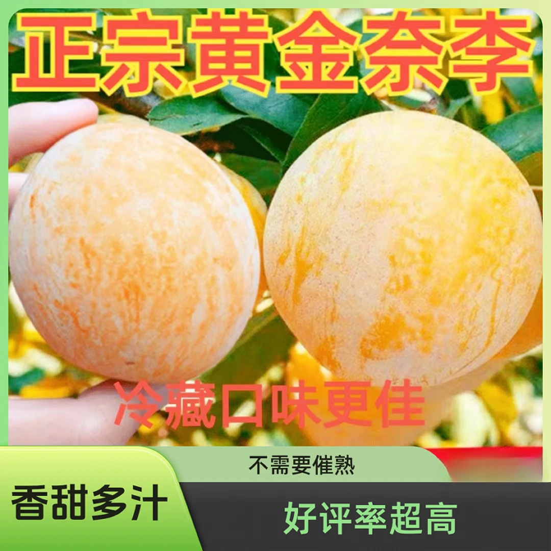炎陵纯甜新鲜鸡心黄皮果正宗黄金奈李应季孕妇水果香甜炎陵奈李