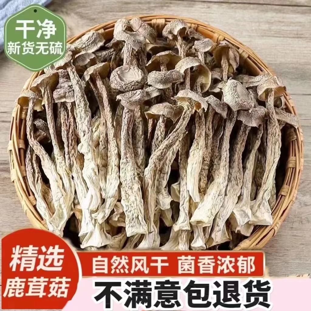 四川特产鹿茸菇煲汤凉拌炒菜香菇甄选好菌菇食材新鲜营养美味香菇