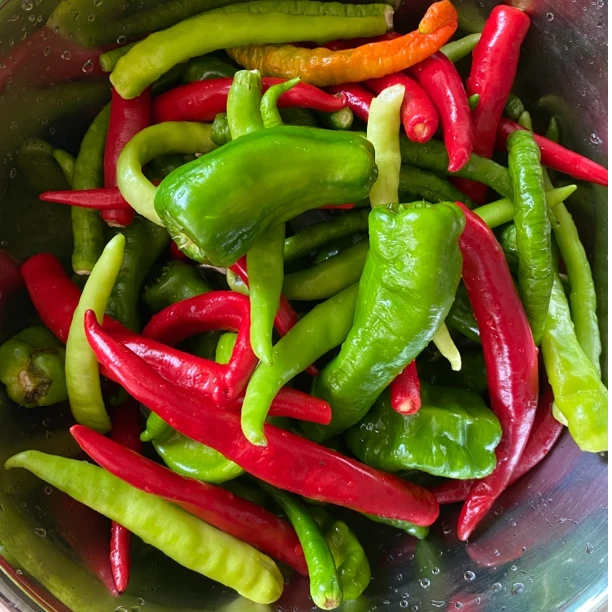 贵州生鲜类应季时蔬瓜果