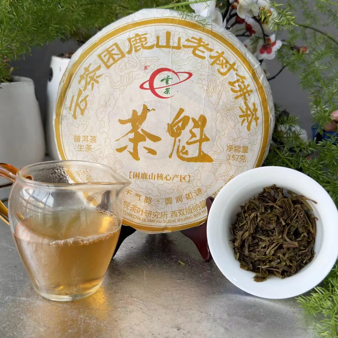 茶园世家YC宾字号茶魁困鹿山古树普洱茶357g/饼 生普洱