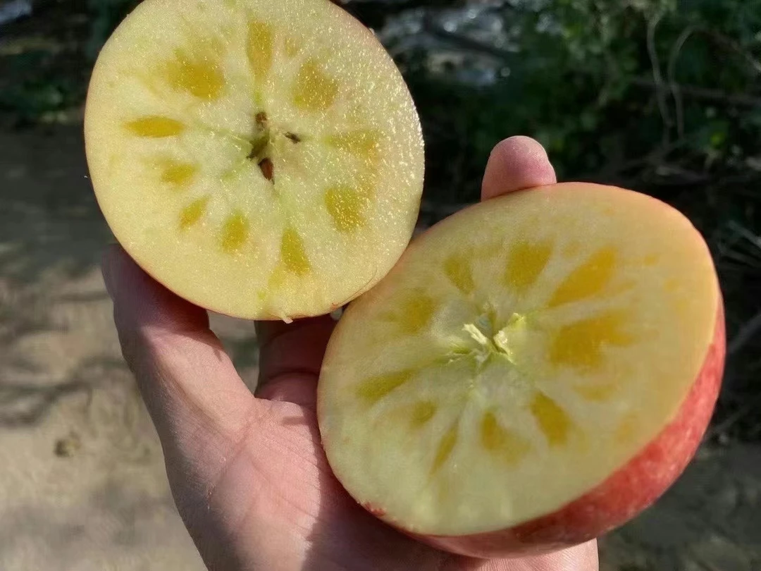 新疆阿克苏冰糖心苹果一整箱净9斤