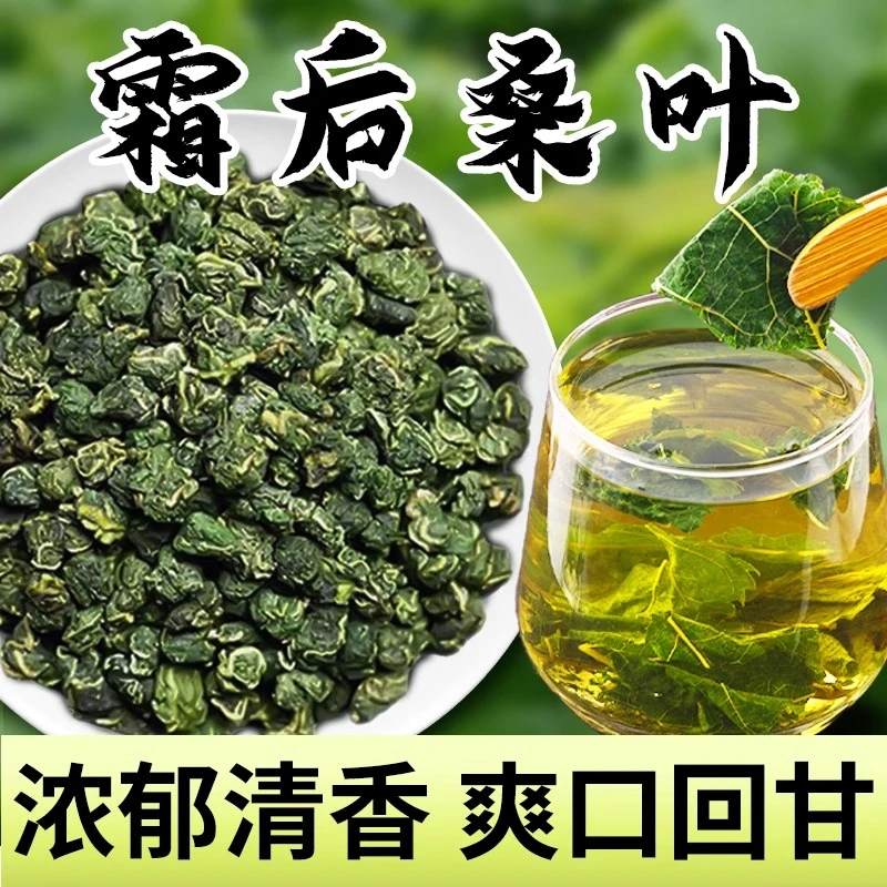 霜后桑叶茶桑树叶桑葚打秋后桑叶新鲜桑叶干泡茶喝