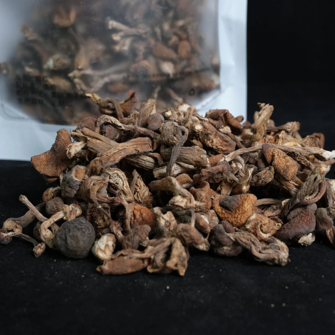 野生精品榛蘑丁（一斤）自然晾晒【助农价格】250g*2袋