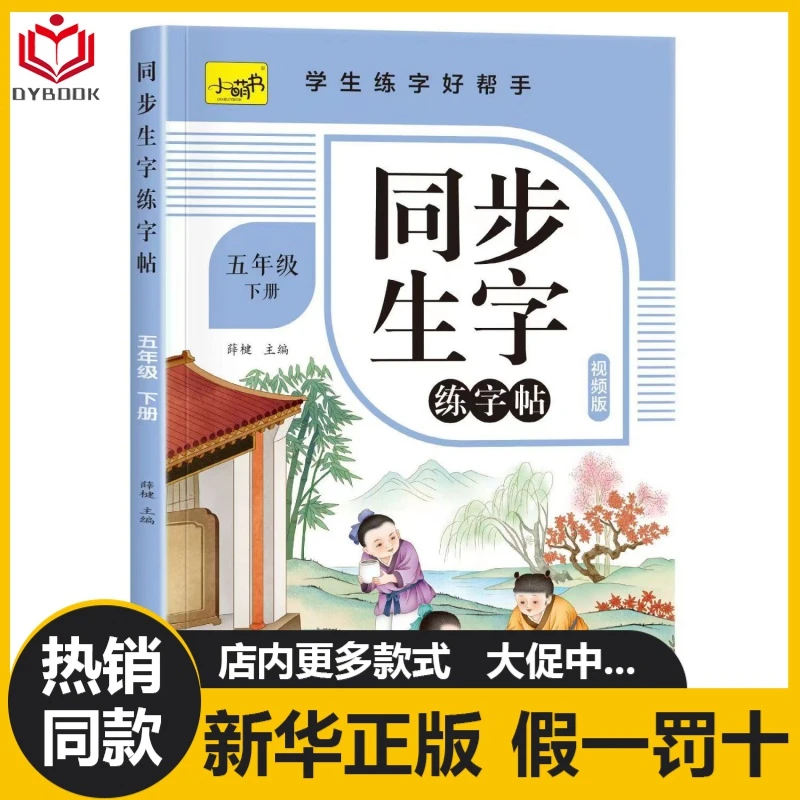 五年级下册练字帖人教版正版每日一练同步练字帖语文写字课课练书