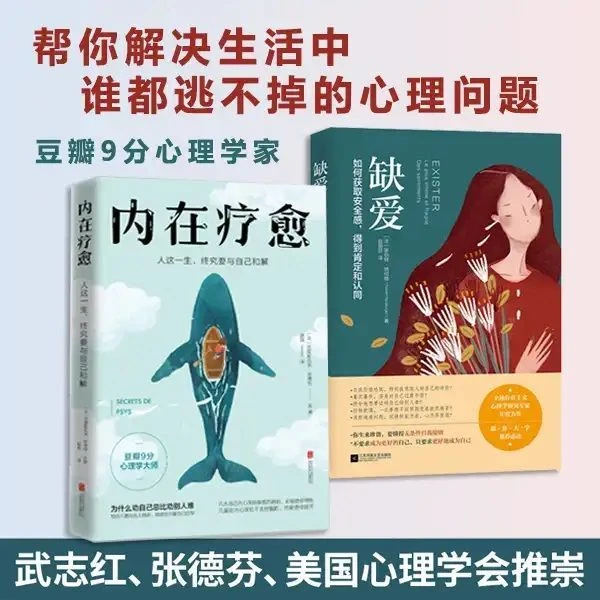 内在疗愈缺爱重新定义安全感存在感价值观心理学书籍抑郁自愈疗法