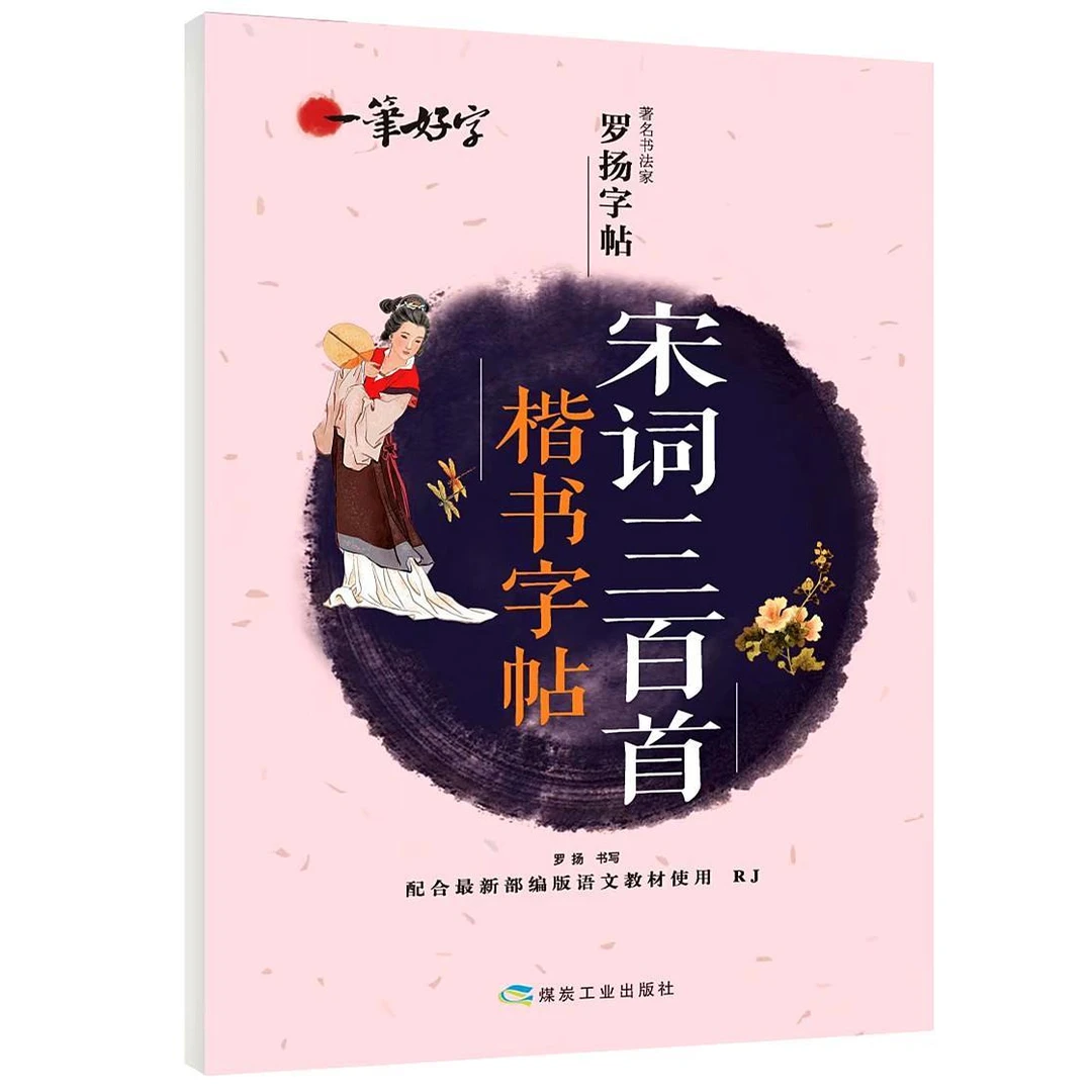 罗扬字帖一笔好字宋词三百首楷书字帖人教版教材硬笔同步练习临摹
