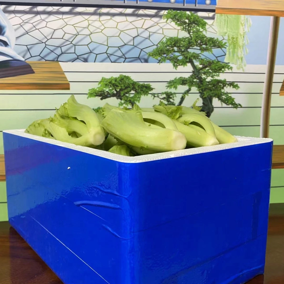 茂名电白水东芥菜胆新鲜食用蔬菜青菜生鲜农产品1-5斤