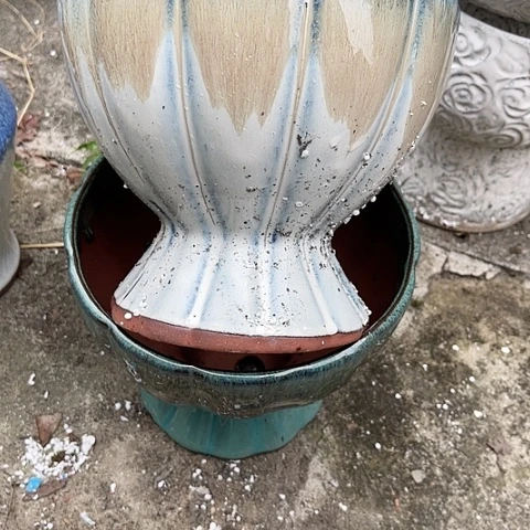 红陶20CM（含）-50CM（不含）口19高17