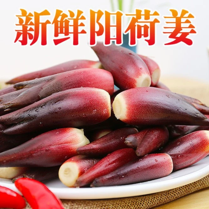 【坏果包赔】2023当季新鲜蔬菜洋荷姜现挖现发洋火姜1-5斤装阳荷姜