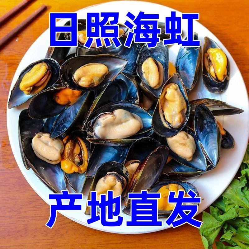 新鲜海虹青口贝贻贝5斤装