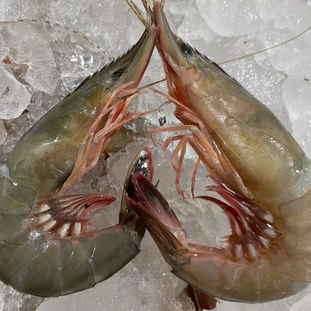 通用链接 吕四渔港野生条虾中指虾
