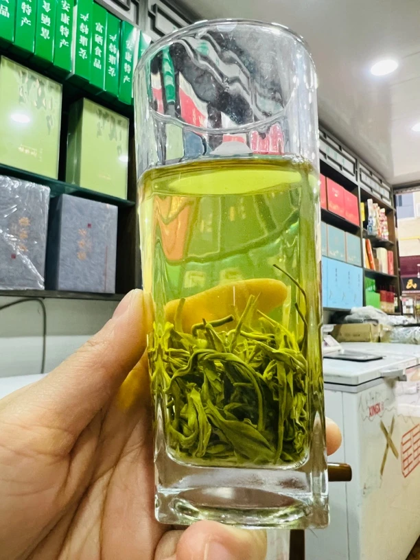 紫阳茶叶毛尖雨前茶炒青味浓耐泡口粮茶叶绿茶2024新茶