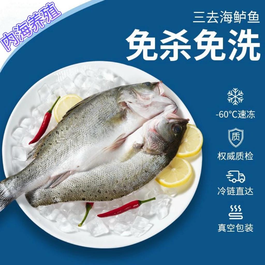 乌市直发 新鲜海鲈鱼 三去海鲈鱼 600-650g/条  发5条 儿童辅食