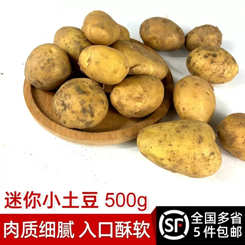 迷你小土豆500g 新鲜蔬菜 农家黄心土豆 马铃薯 小洋山芋