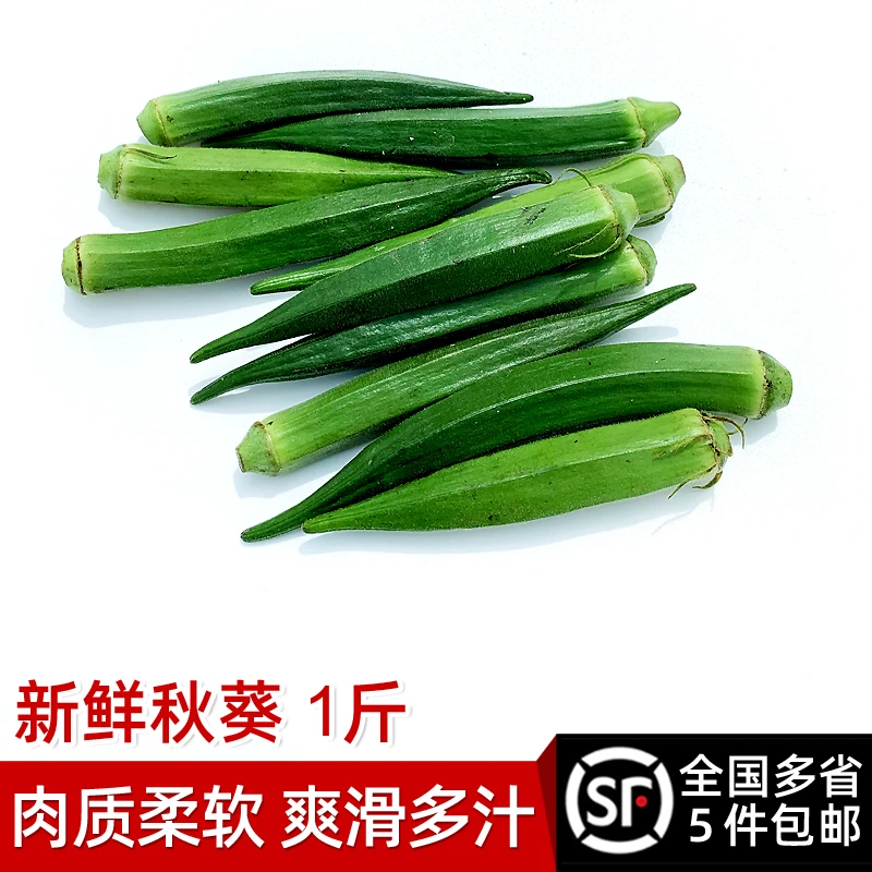 秋葵500g 新鲜蔬菜沙拉食材水果黄秋葵六角羊角豆鲜嫩