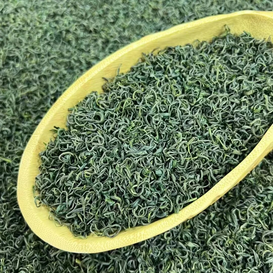 活动 大田茶绿茶豆香浓香耐泡