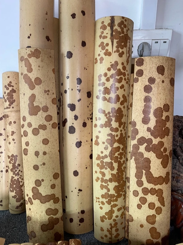 老云妃竹料直播专用付米