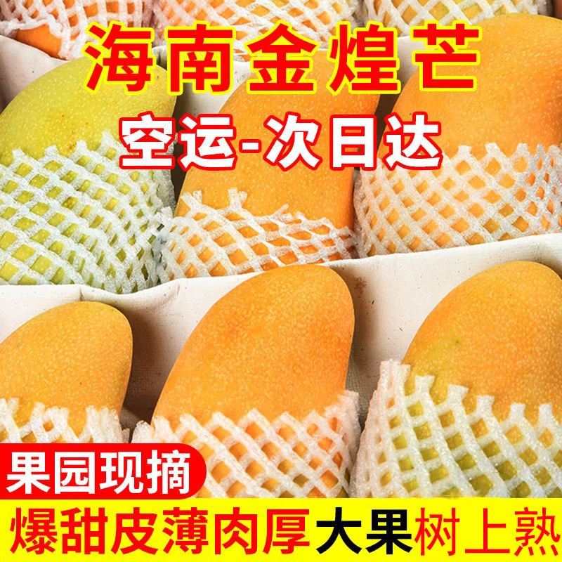 海南金煌芒果10斤新鲜水仙芒当季整箱生果特大热带芒果甜心青包邮