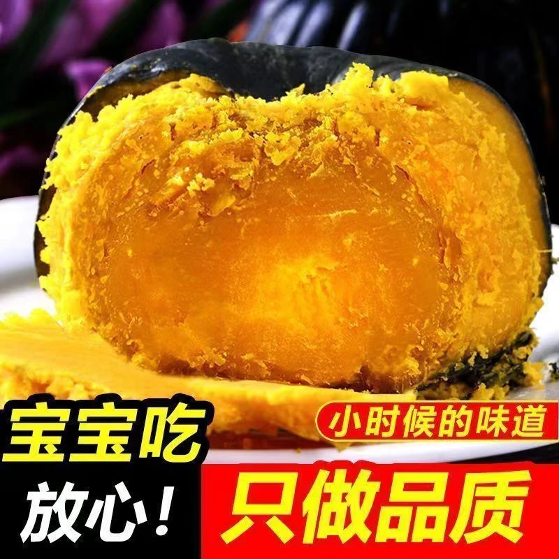 高产绿贝贝南瓜种子广西板栗小南瓜新品种甜面香糯春秋播蔬菜种子