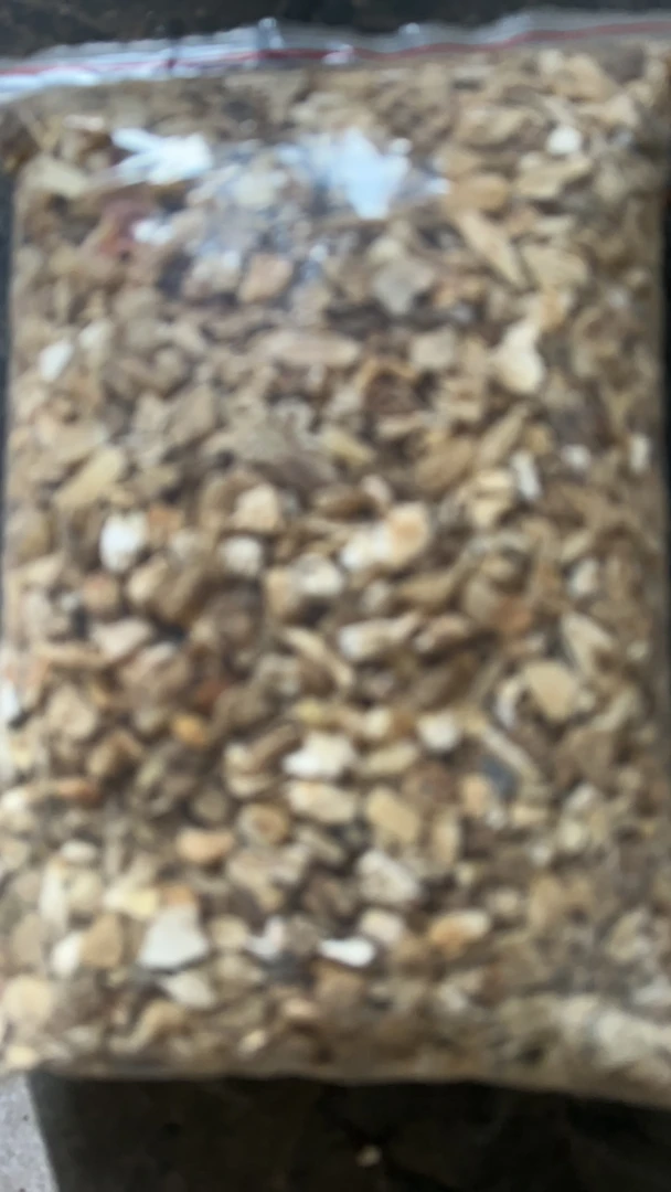 规格0.5-1.0厘米 骨头