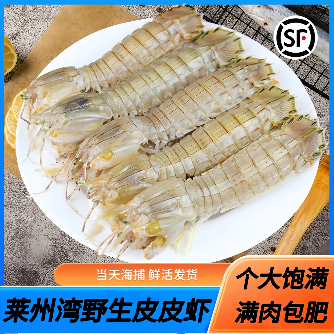 莱州湾野生虾爬鲜活虾姑皮皮虾濑尿虾海鲜水产新鲜皮皮虾海产品