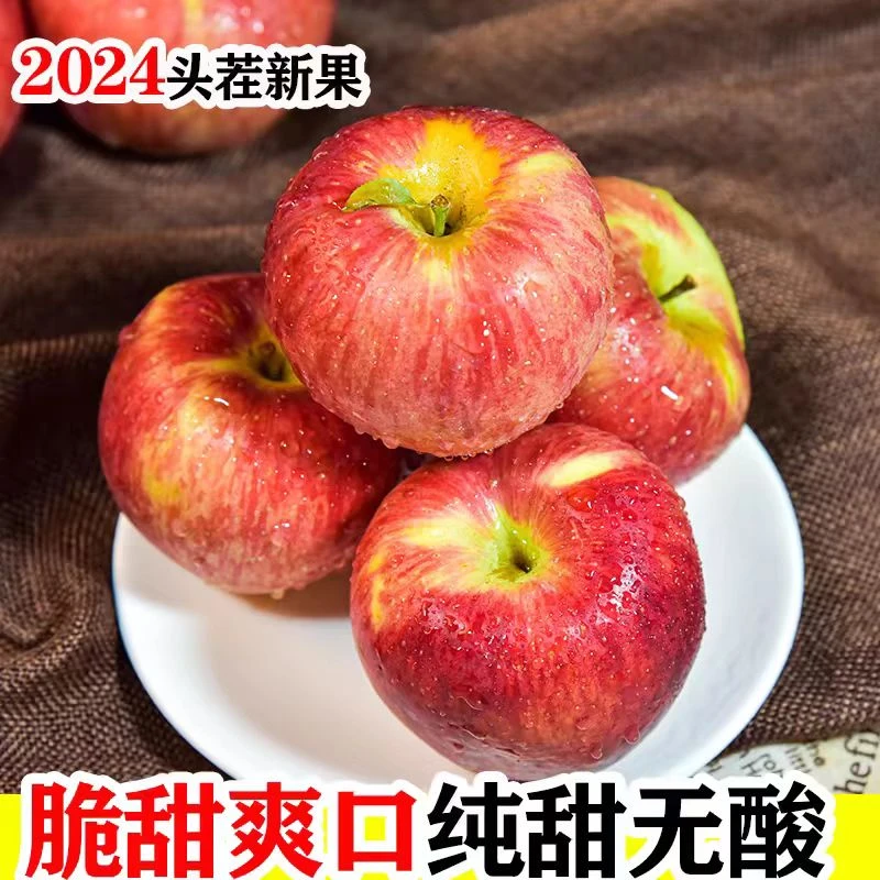 【邮政助农】汉源糖心苹果红露苹果现采现发孕妇水果新鲜正宗重量