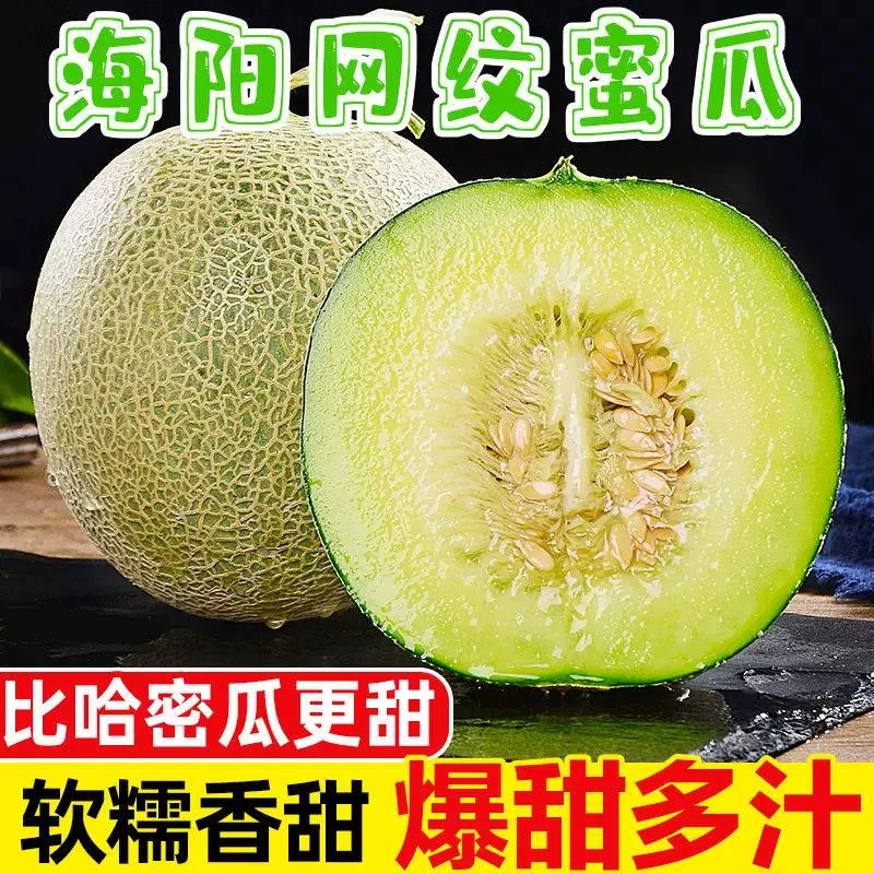 网纹瓜甜瓜哈密瓜软糯海南冰淇凌甜瓜一藤一瓜哈密瓜1-9斤装蜜甜