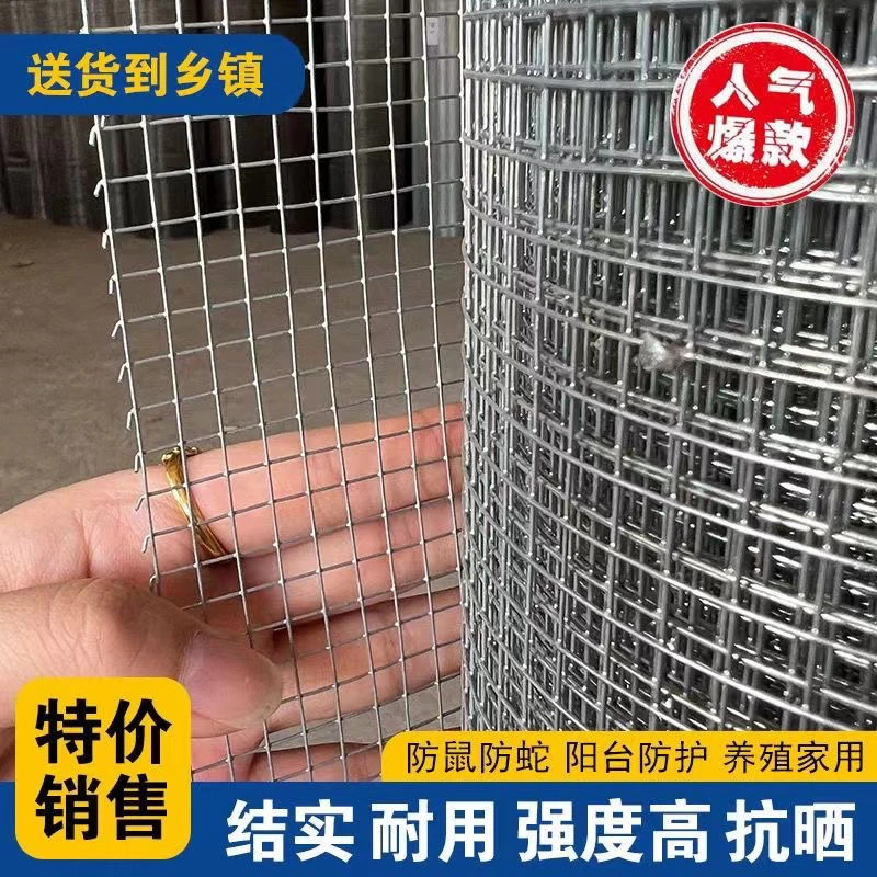 小孔加密防鼠防蛇钢丝网阳台防护网防猫网鸽鸟兔笼网鸡鸭围栏铁网