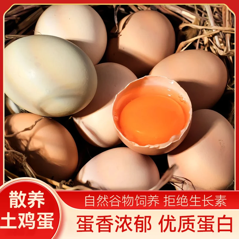 50枚新鲜优质果林散养土鸡蛋现捡现发无抗谷物蛋4-4.5斤-自产自销