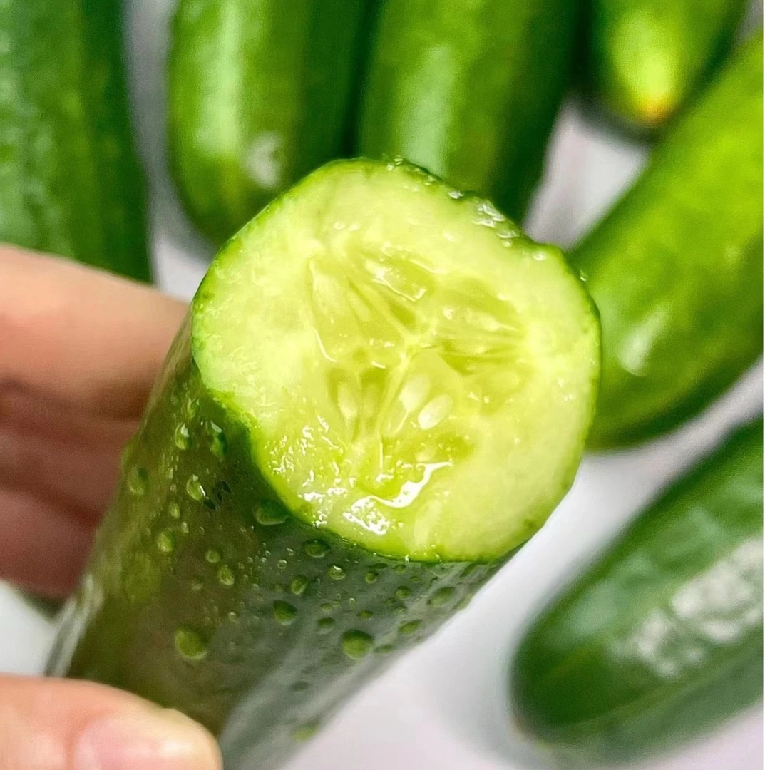 干花水果黄瓜2斤黄瓜同城送黄瓜同城配