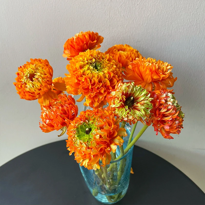 云南锦鲤洋牡丹花束家用水养鲜切花昆明基地直发网红插花顺丰包邮