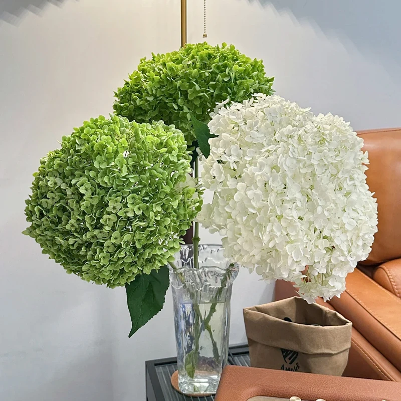 安娜绣球鲜花绿色云南基地直发白色水培绿植插花绣球花鲜切花花束