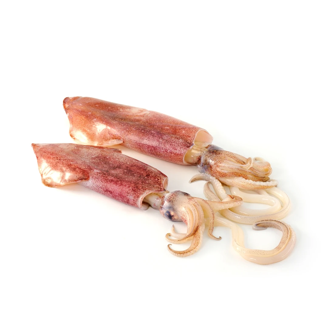 东山灯捕鱿鱼250g±10g