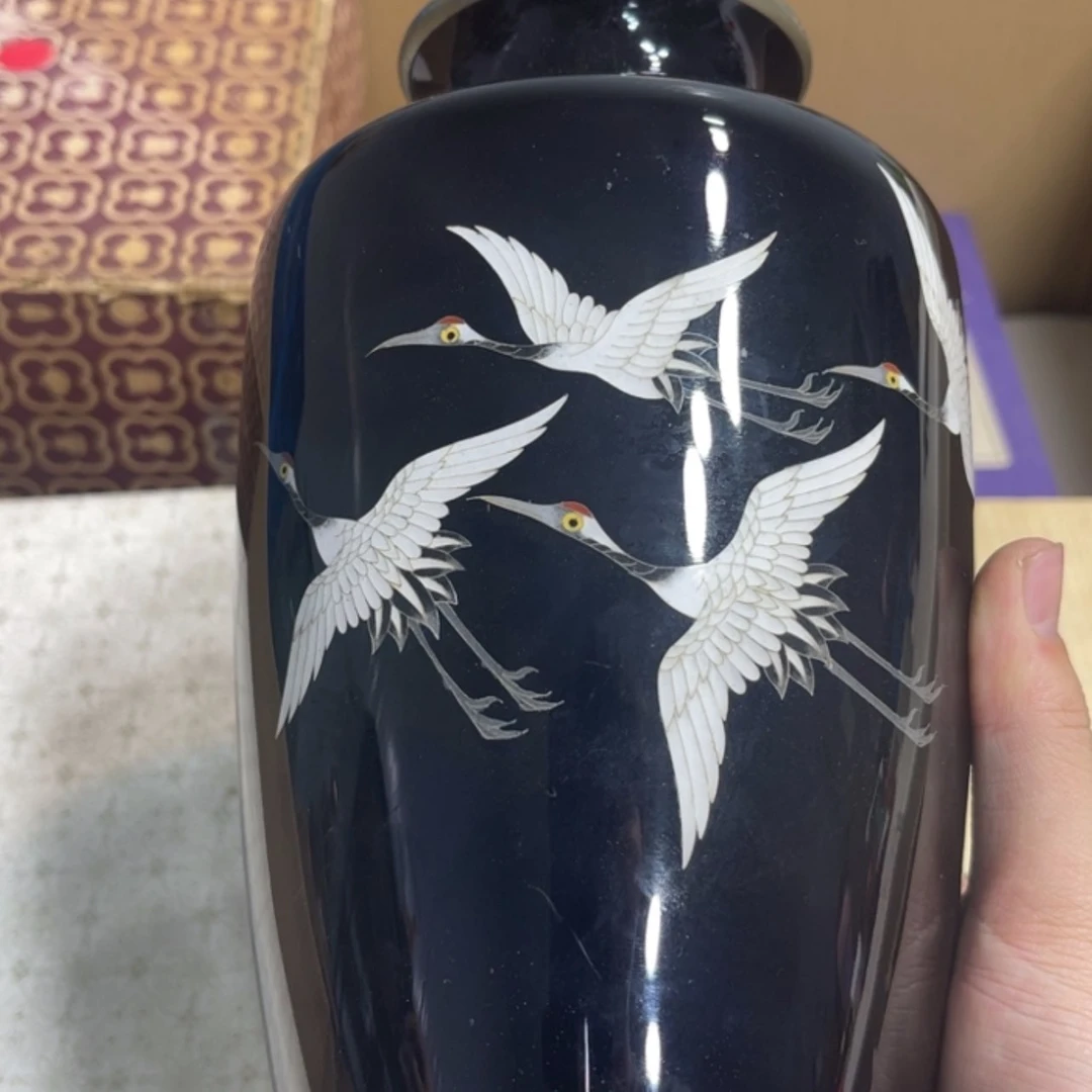 【闪购商品】Ac*m0011