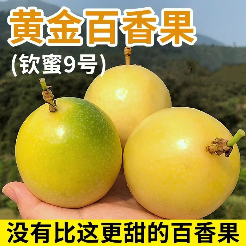 【顺丰包邮】广西黄金百香果钦蜜9号香甜多汁农家种植现摘现发当季