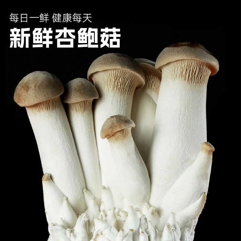 精选杏鲍菇现采现发新鲜杏鲍菇2kg鸡腿菇脆爽杏鲍菇蔬菜食用菌类