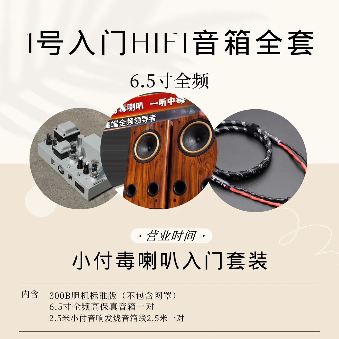 X6HiFi小付毒喇叭音箱胆机套装 （音箱 胆机 音箱线）