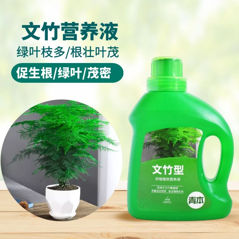 文竹适用营养液室内花卉绿植通用型花肥预防黄叶促生长专用肥料