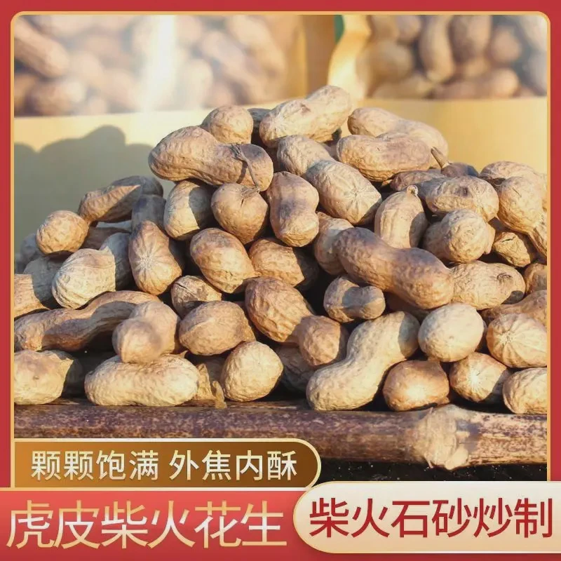 2025新货新新鲜净重发货农家铁锅炒花生零食带壳原味炒熟零食喷香