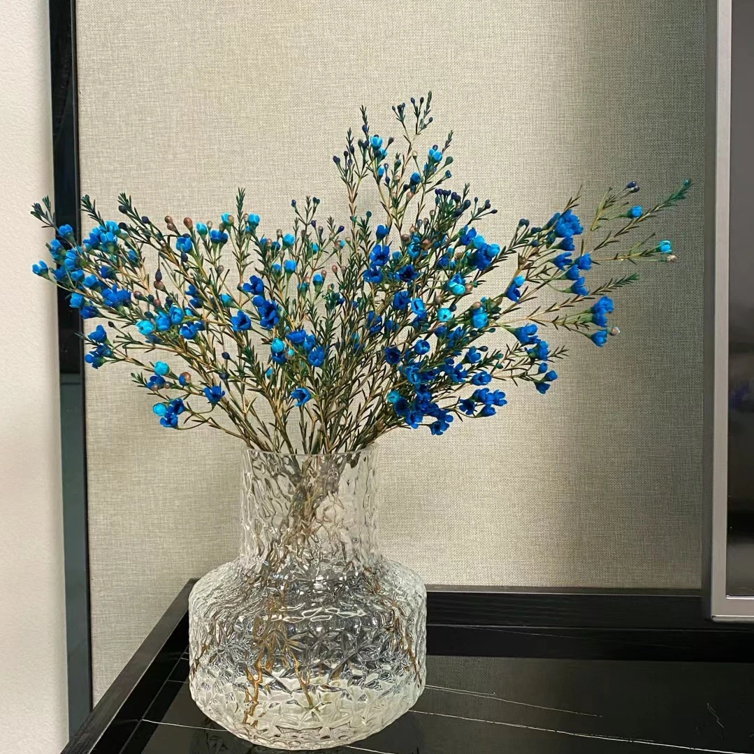 蓝色腊梅(150克)【包邮】送保鲜剂