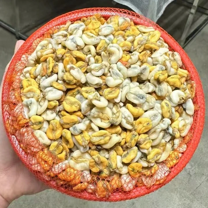 应季生鲜大粒鲜甜潮汕薄壳米新鲜肉送金不换省内包邮海瓜子特大