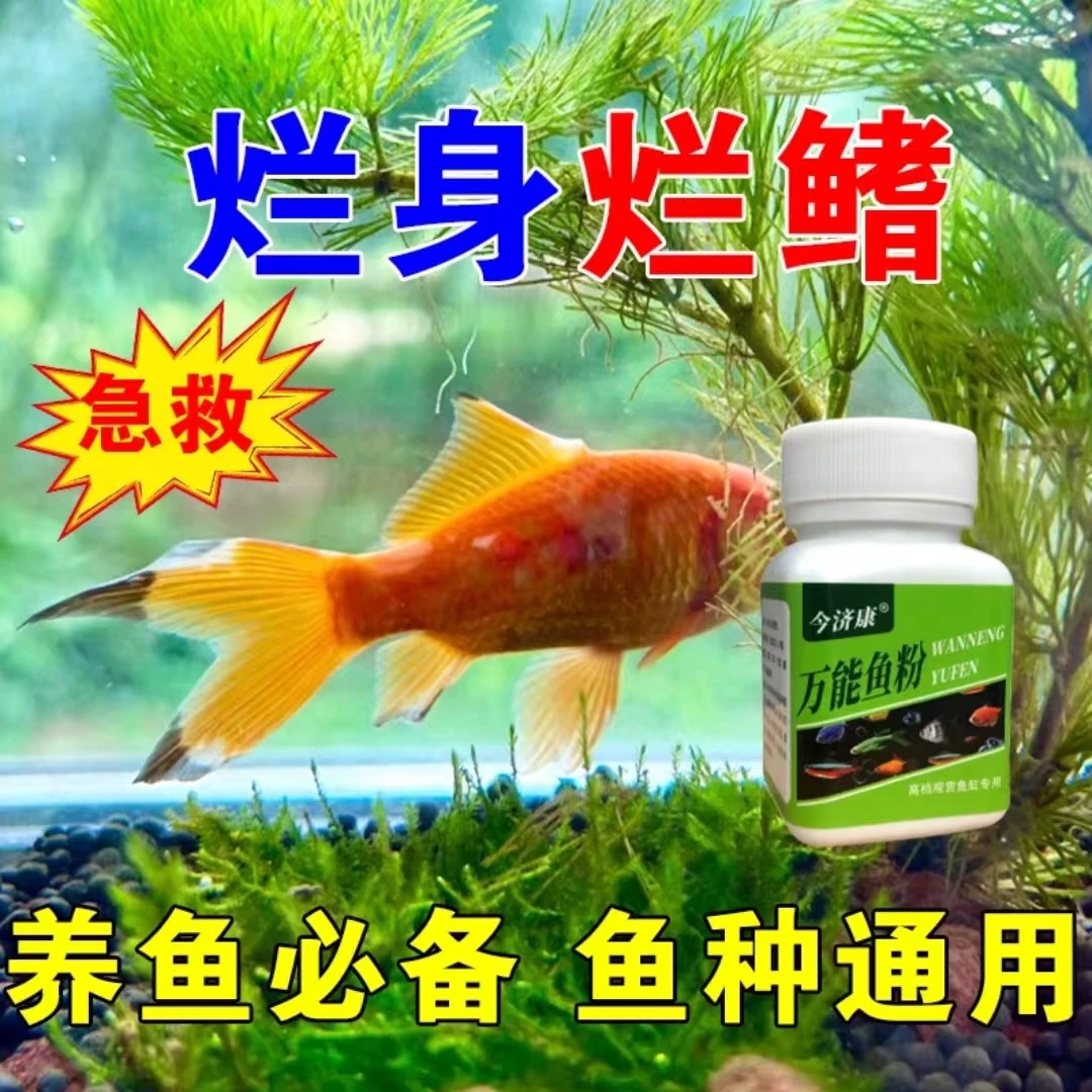 【养鱼常备】养鱼烂身烂尾炸鳞蒙眼净水鱼缸观赏鱼专用养鱼常备