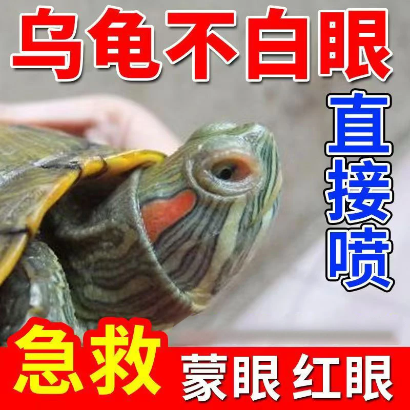 【急救】乌龟白眼清喷剂乌龟白眼红乌龟眼睛睁不开流眼泪乌龟适用