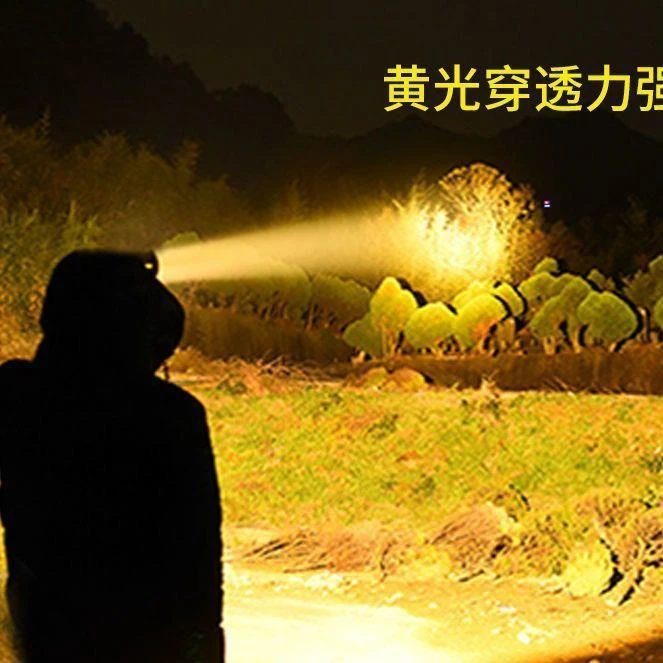 先锋狼12V16核头戴分体式超亮黄光头灯大光斑强光钓鱼抓黄鳝专用